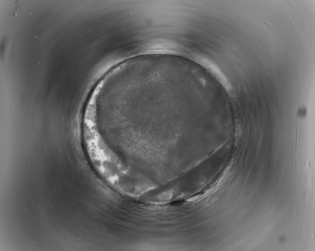 X0000103291419200809191819