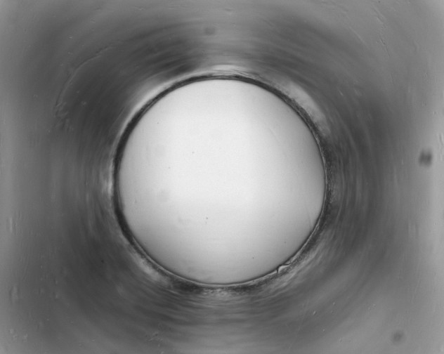 X0000103291420200809191819