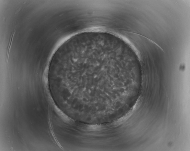 X0000103291421200809191819