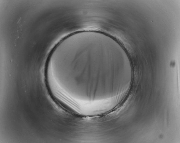 X0000103291422200809191819