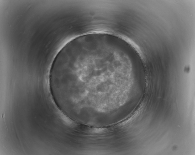 X0000103291423200809191819