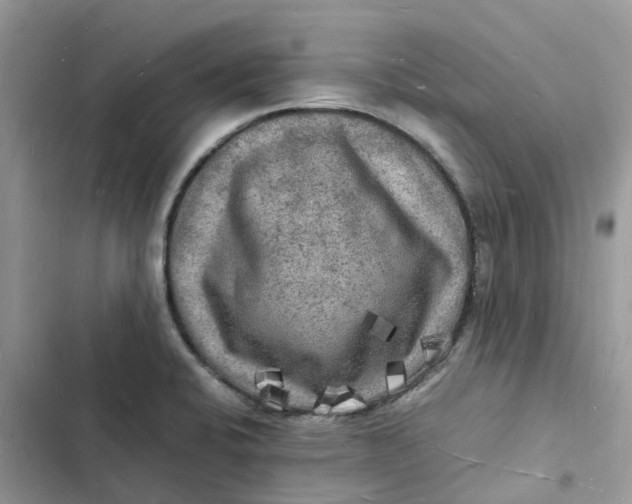 X0000103291424200809191819