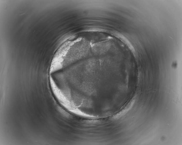 X0000103291425200809191819