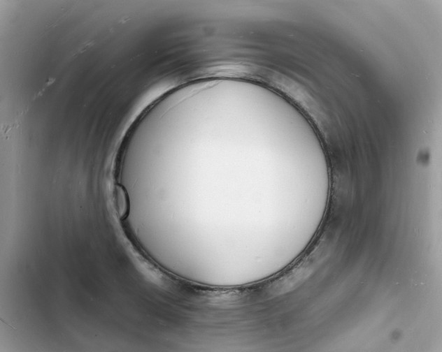 X0000103291426200809191819