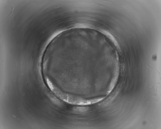 X0000103291427200809191819