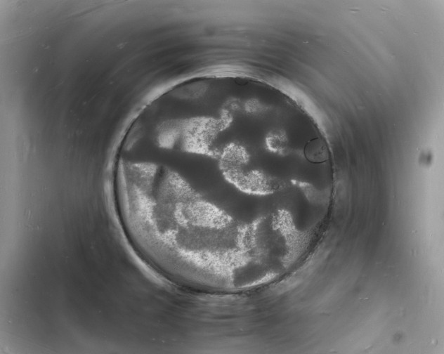 X0000103291429200809191819