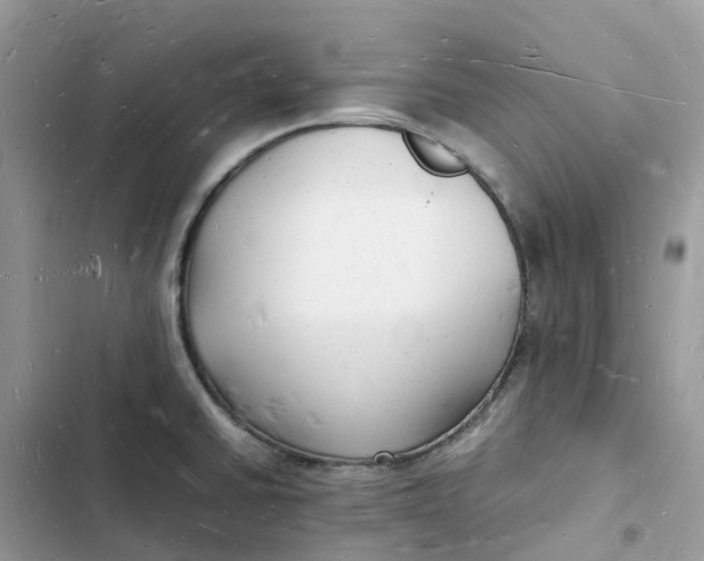 X0000103291430200809191819