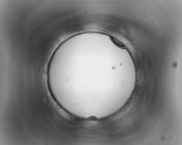 X0000103291431200809191819