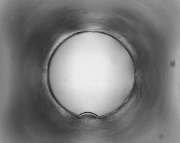 X0000103291432200809191819