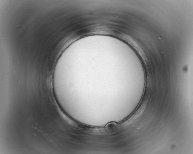 X0000103291433200809191819