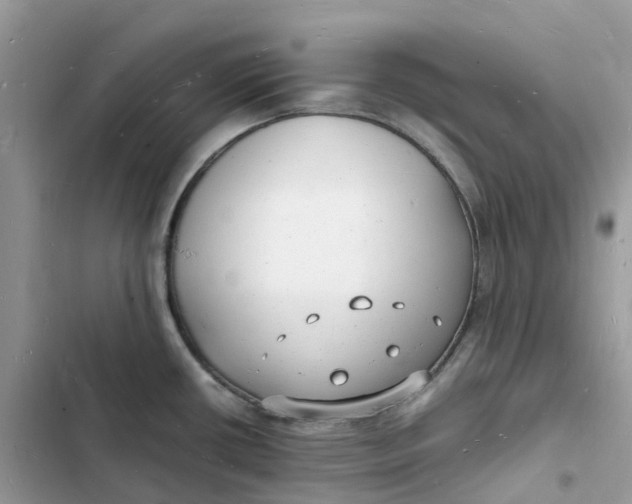 X0000103291434200809191819