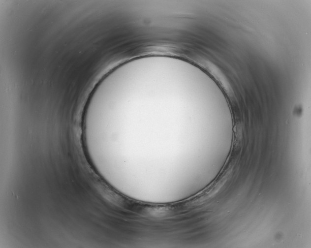 X0000103291435200809191819