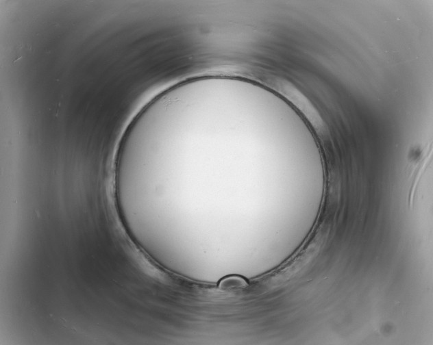 X0000103291436200809191819