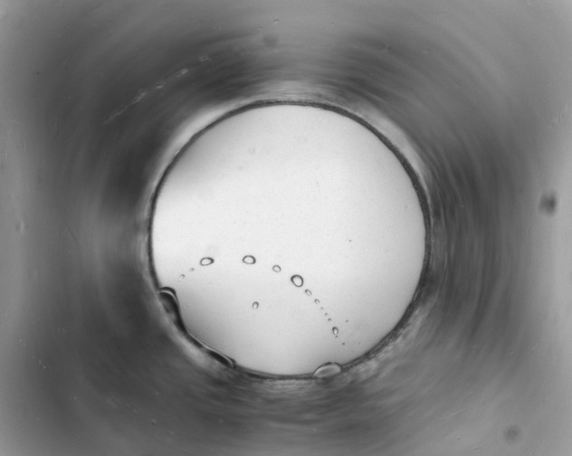 X0000103291437200809191819