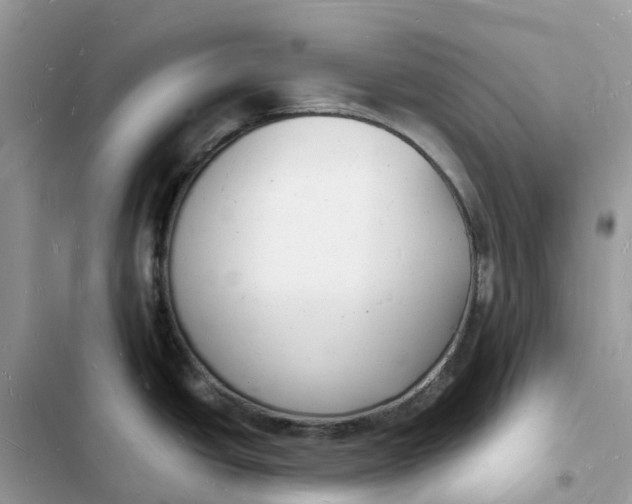 X0000103291438200809191819