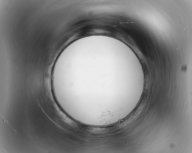 X0000103291439200809191819