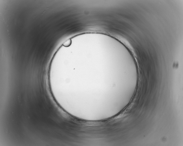 X0000103291440200809191819