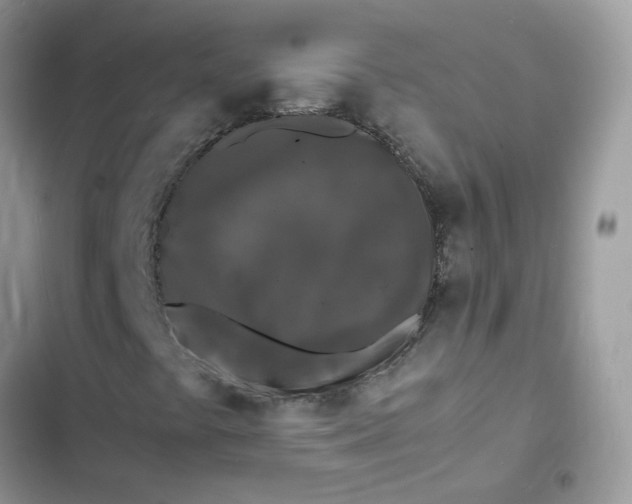 X0000103291441200809191818