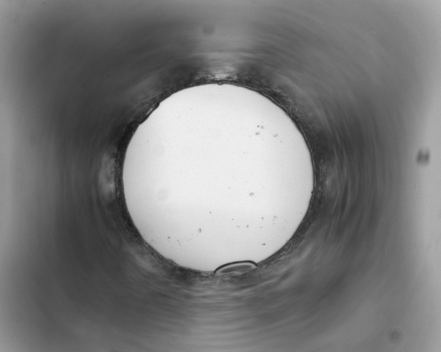 X0000103291442200809191818