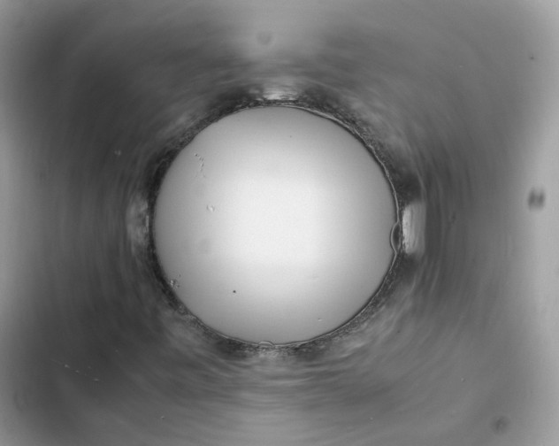 X0000103291443200809191818