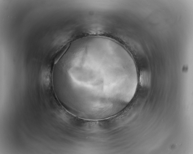 X0000103291444200809191818