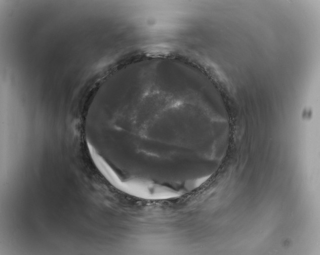 X0000103291445200809191818