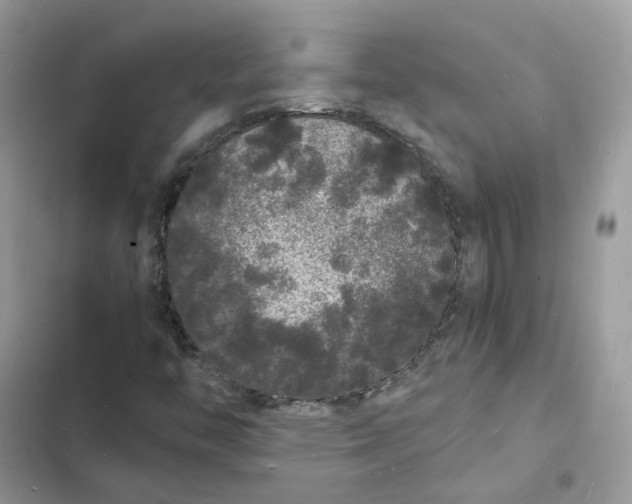 X0000103291446200809191818