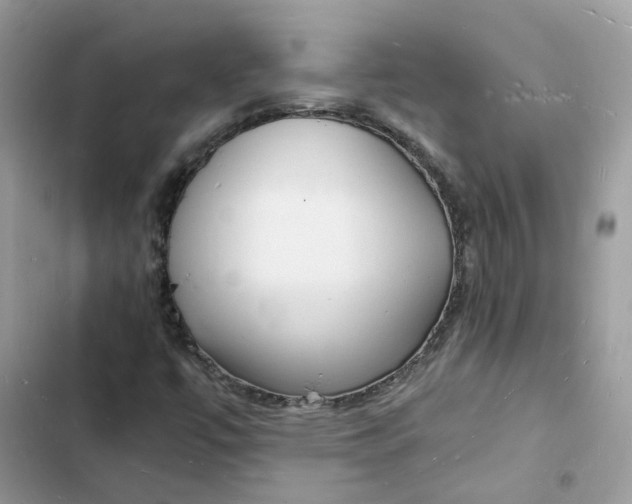 X0000103291447200809191818