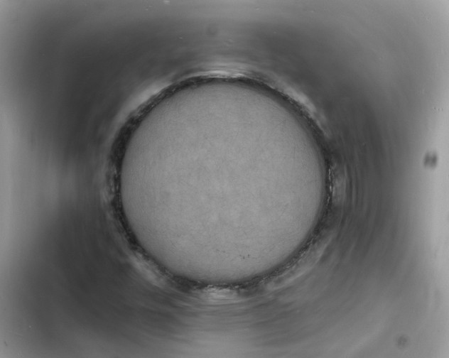 X0000103291448200809191818