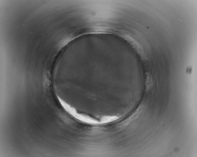 X0000103291449200809191818