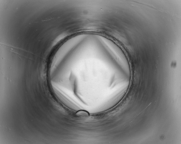 X0000103291450200809191818