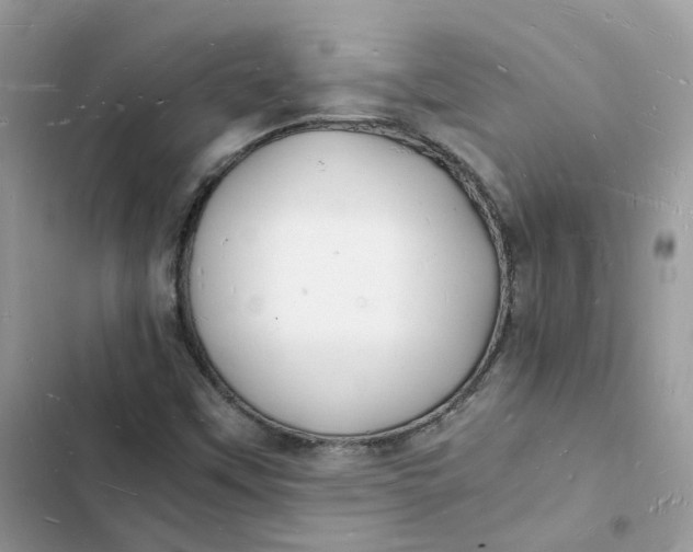 X0000103291451200809191818