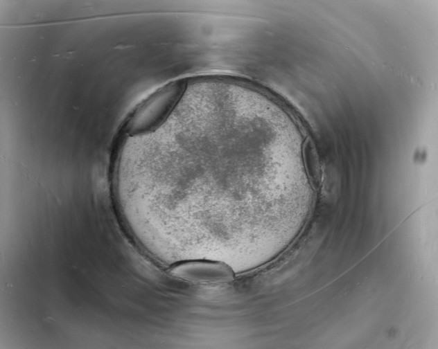 X0000103291452200809191818