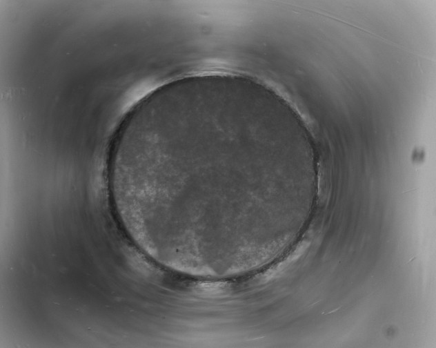 X0000103291453200809191818