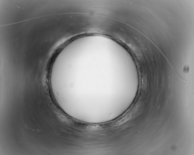 X0000103291454200809191818