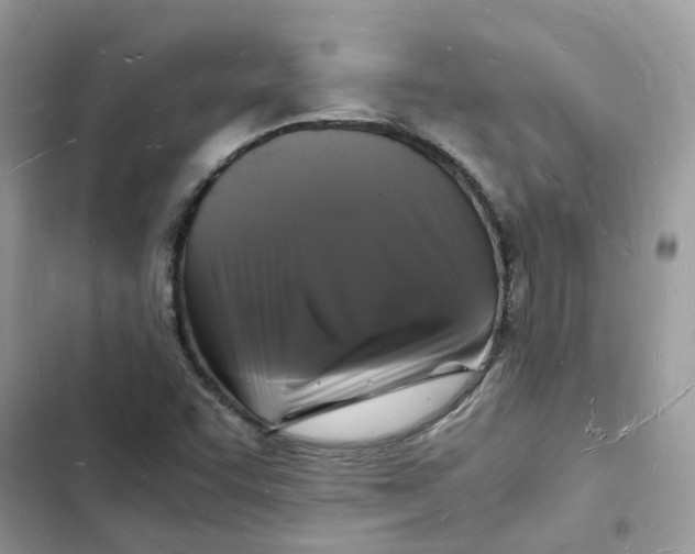 X0000103291455200809191818