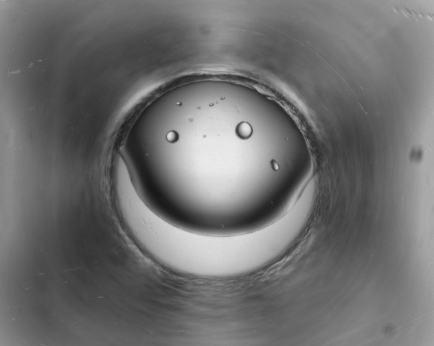 X0000103291456200809191818