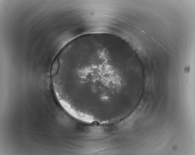 X0000103291457200809191818