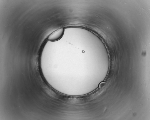 X0000103291458200809191818