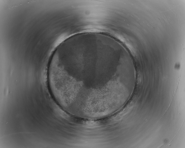 X0000103291459200809191818