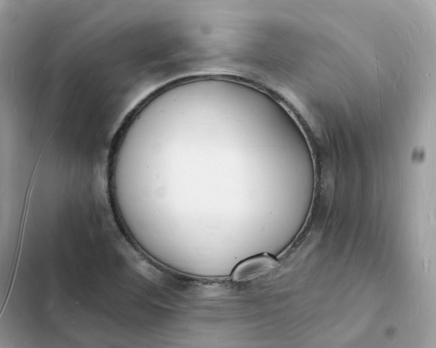 X0000103291460200809191818