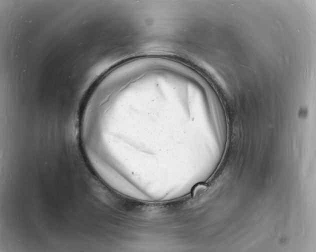 X0000103291461200809191818