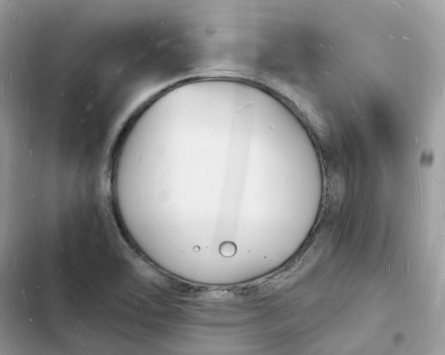 X0000103291462200809191818