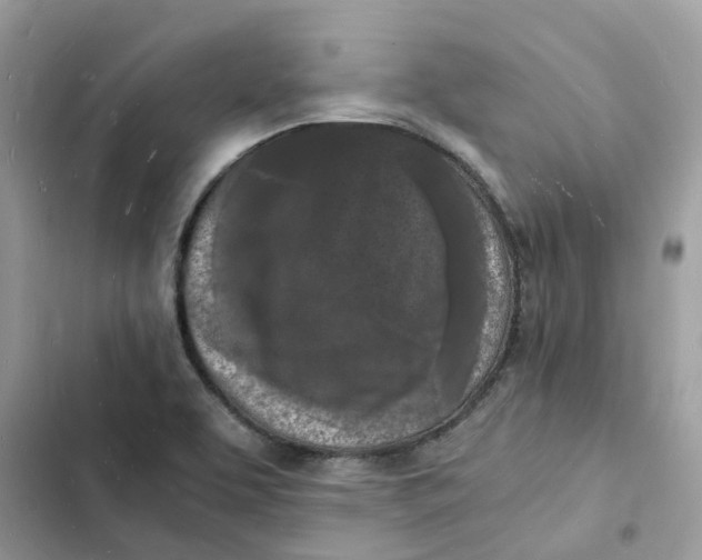 X0000103291463200809191818