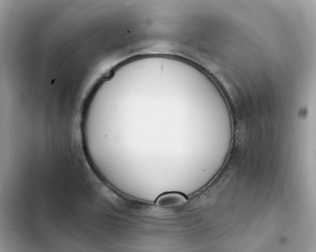 X0000103291464200809191818