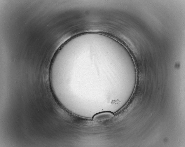 X0000103291465200809191818