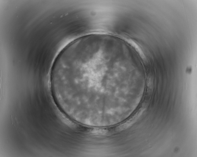 X0000103291466200809191818