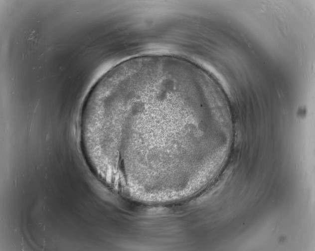 X0000103291467200809191818