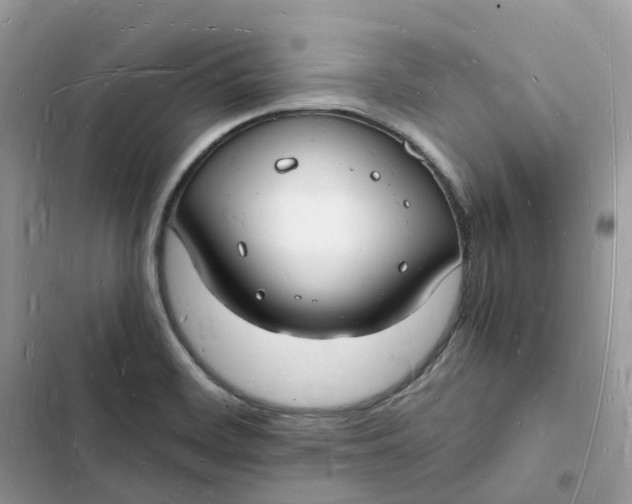 X0000103291468200809191818