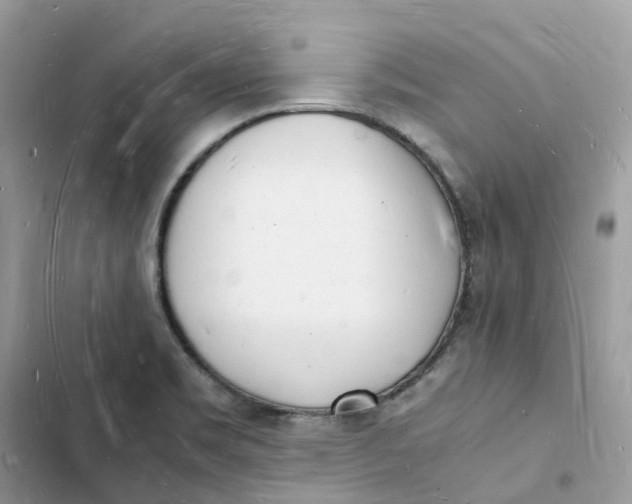 X0000103291469200809191818